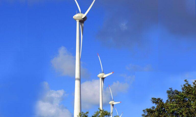 MEC quer ampliar oferta de cursos na área de energia renovável