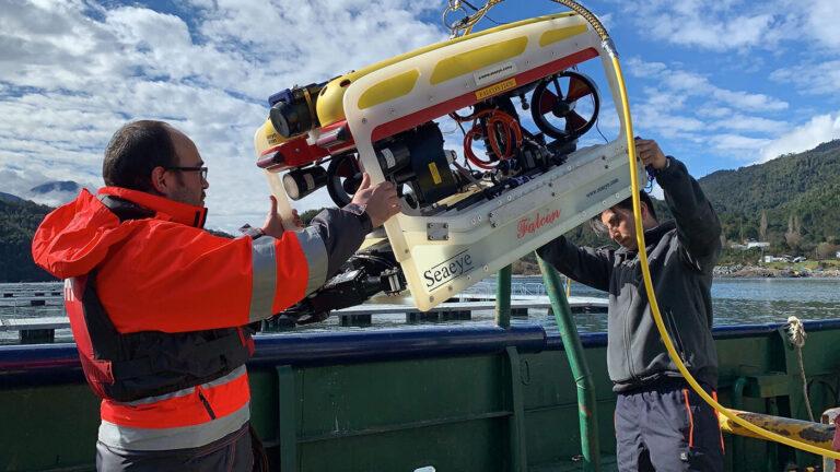 Aquicultura sul-americana recebe o terceiro Falcon