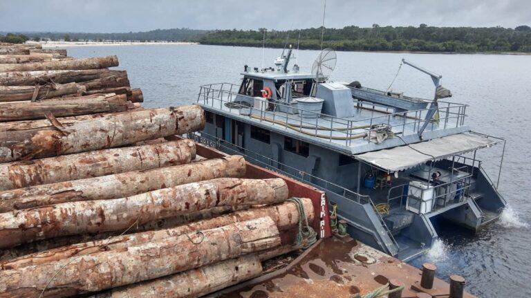 Forças Armadas apreendem novo comboio com toras de madeira no Pará