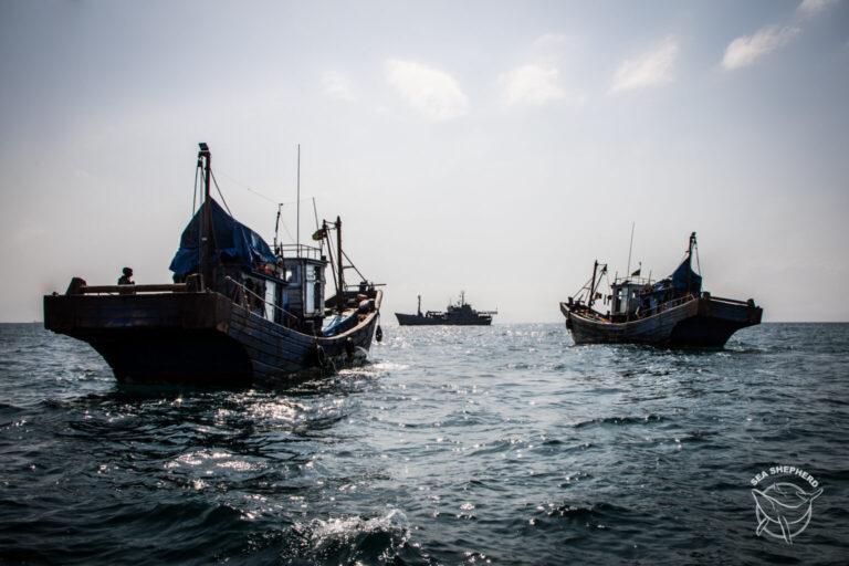 Dois barcos de pesca de arrasto ilegais são surpreendidos por ataque noturno em Benin 