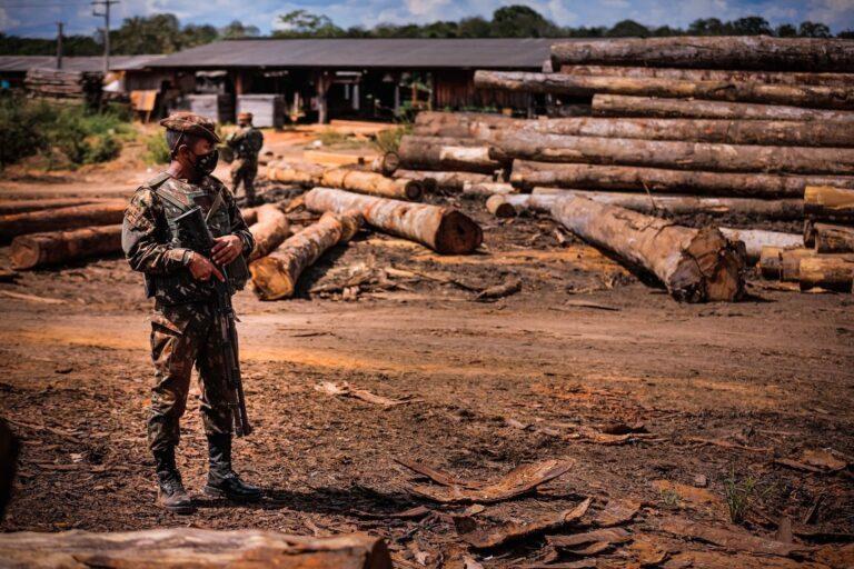 De acordo com o INPE, desmatamento na Amazônia teve queda de 45% em novembro