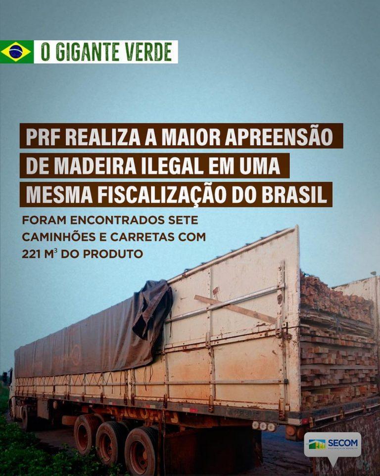 PRF realiza a maior apreensão de madeira ilegal em uma mesma fiscalização
