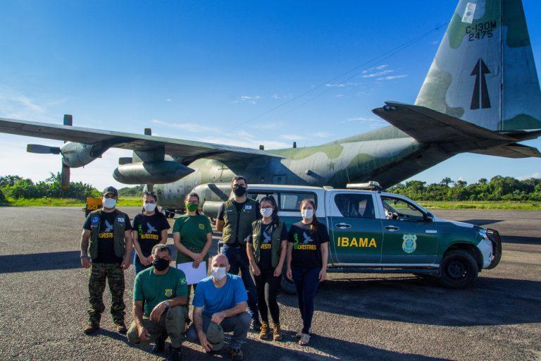 FAB realiza transporte de animais silvestres de Manaus (AM) para Goiânia (GO)
