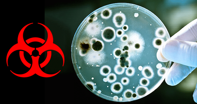 O que é bioterrorismo e quais as armas biológicas mais usadas?