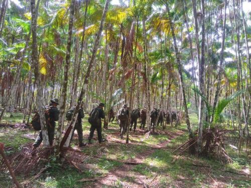 2° Batalhão de Operações Ribeirinhas realiza treinamento em Terra Alta (PA)