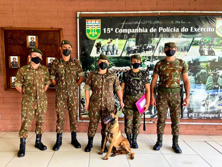 Depósito de Suprimento recebe um novo canino