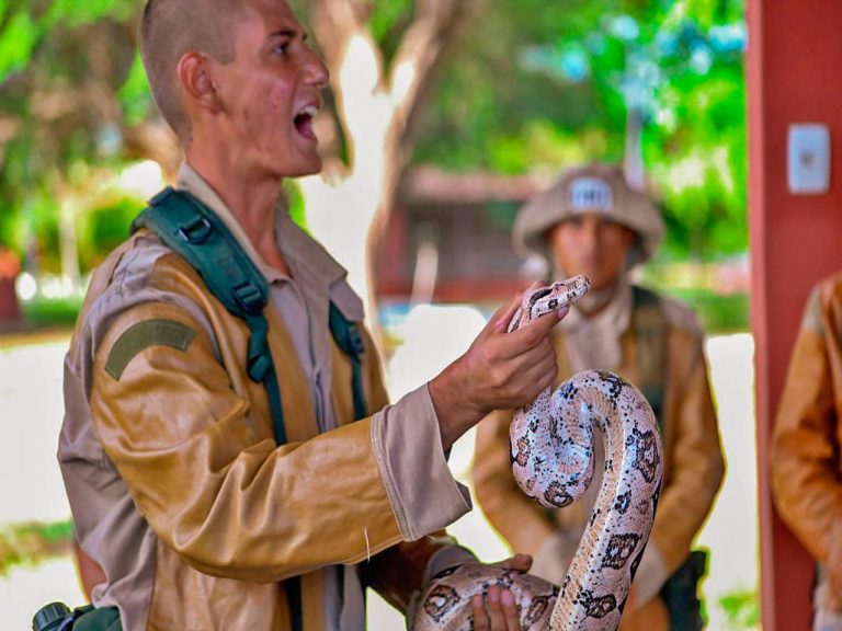 Soldados realizam o Estágio Básico de Combatente de Caatinga