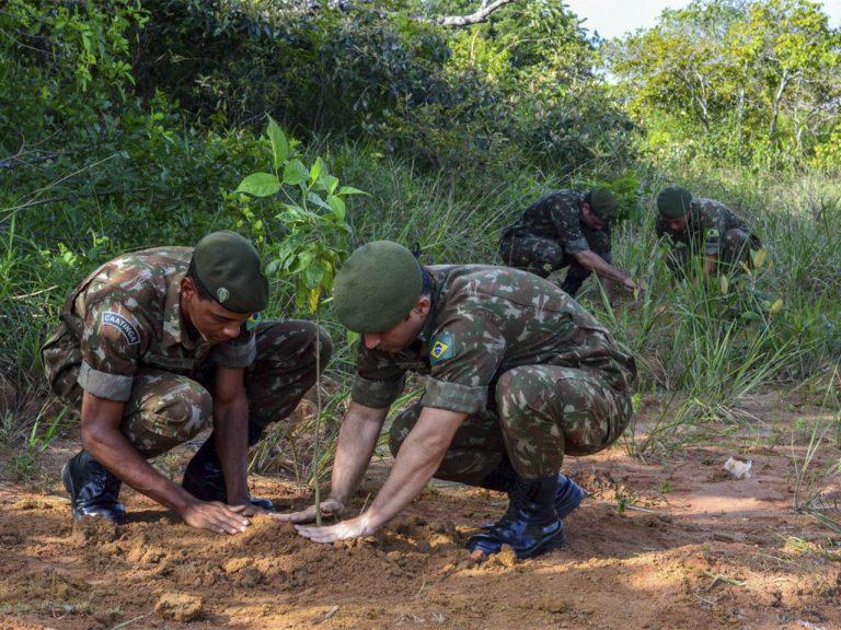 Batalhão de Infantaria realiza plantio de mudas nativas do bioma Caatinga