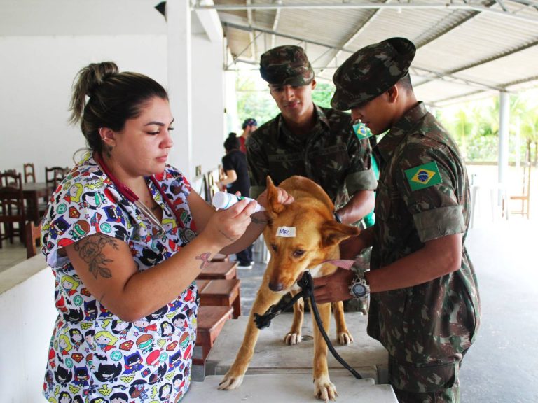 2ª Brigada de Infantaria de Selva apoia ação veterinária em São Gabriel da Cachoeira (AM)