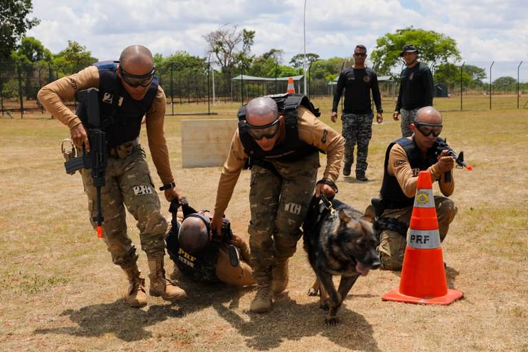 Policiais de 19 estados são capacitados para atuarem com cães no combate ao crime