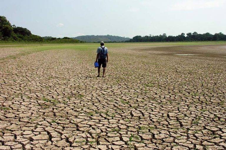Escassez Alimentar x Mudanças Climáticas