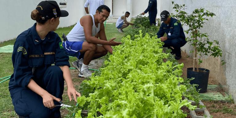 Comando do 3º Distrito Naval inaugura a “Nossa Horta”