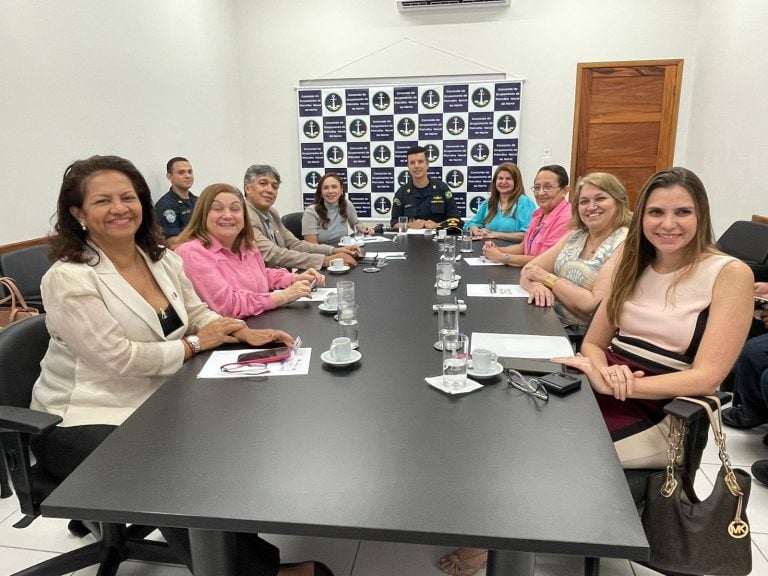 Marinha realiza reunião com órgãos públicos para emprego do Navio de Assistência Hospitalar “Anna Nery”