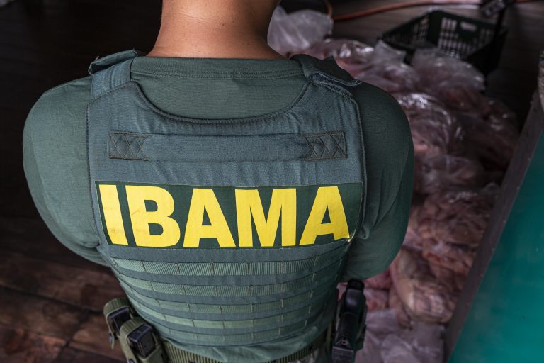 IBAMA realiza operação contra a pesca e comércio ilegal de Piracatinga em Manaus