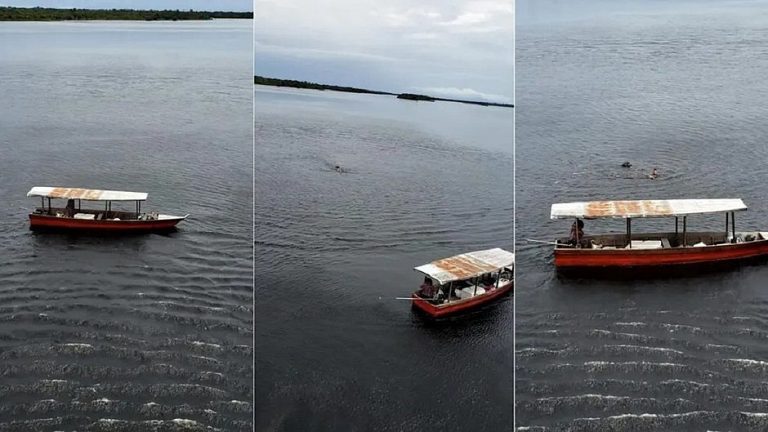 Pescadora sobrevive à deriva no Rio Amazonas comendo peixe cru e defendendo o corpo do marido dos urubus