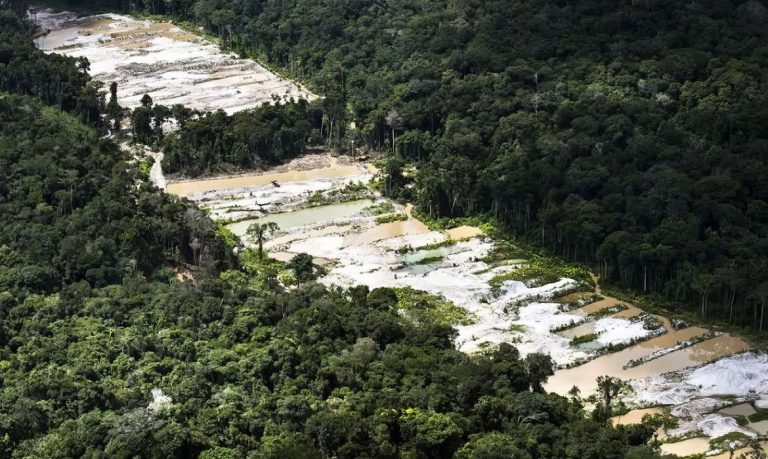 Operação Ambiental interrompe Garimpo Ilegal e aplica multas de R$ 4,5 milhões na Floresta de Urupadi
