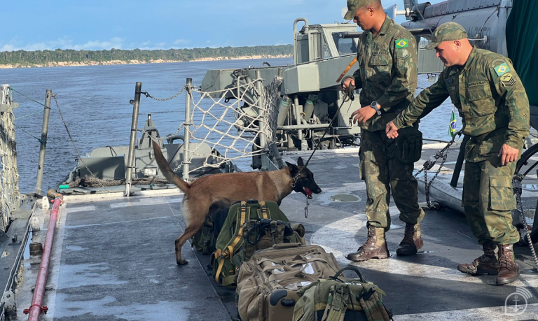 Conheça a Fiona, a Canina Superdetective da Marinha na Amazônia