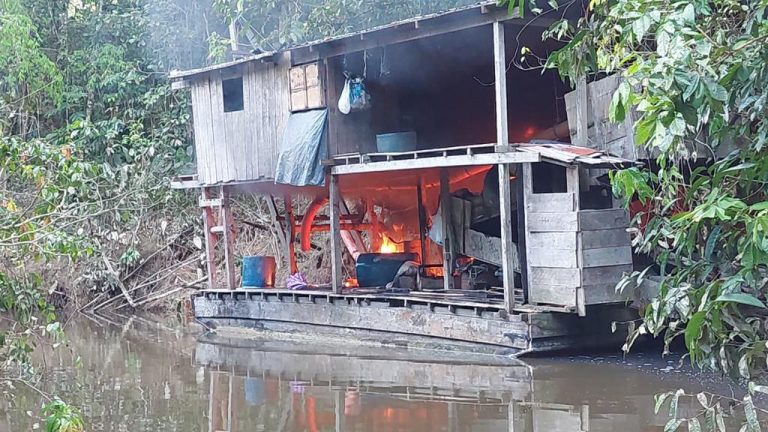 Avanços Significativos na Batalha Contra Crimes Transnacionais e Ambientais na Amazônia