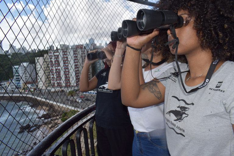 Marinha abre Temporada de Observação de Baleias com Ciência Cidadã em Salvador