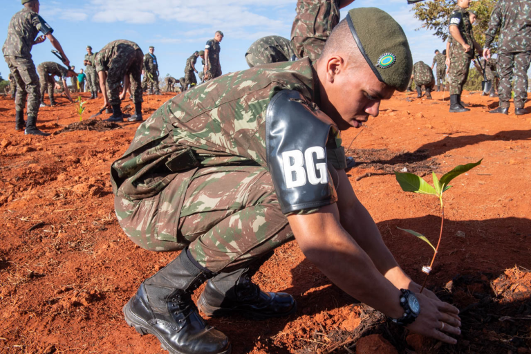 Exército Brasileiro Lança Campanha Verde: Uma Árvore para Cada Soldado