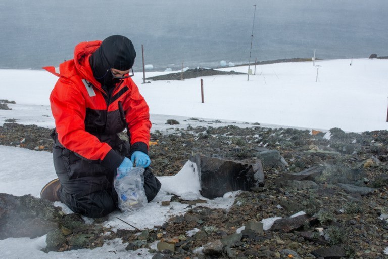 Brasil na Antártica: Uma Jornada de Descobertas e Preservação
