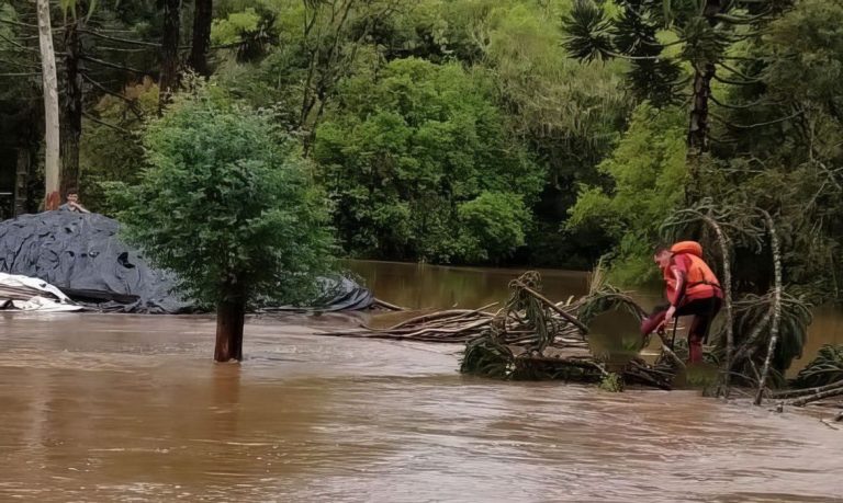 Santa Catarina em Alerta: Chuvas Intensas Afetam Dezenas de Cidades