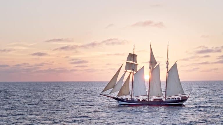Salvador Revive a História: A Jornada de Darwin e a Missão de Conservação dos Oceanos