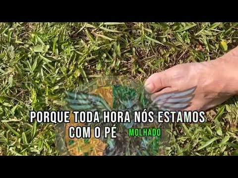 A Marambaia e seus desafios