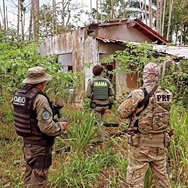 Operação Xapiri: Ação Conjunta Destrói Porto de Apoio ao Garimpo Ilegal na TI Yanomami