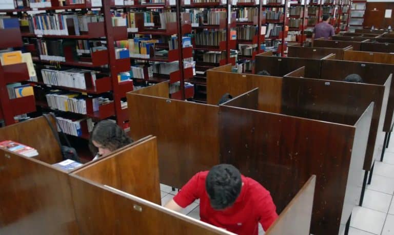 Leitura: Uma Ferramenta Fundamental para o Sucesso Acadêmico e Profissional