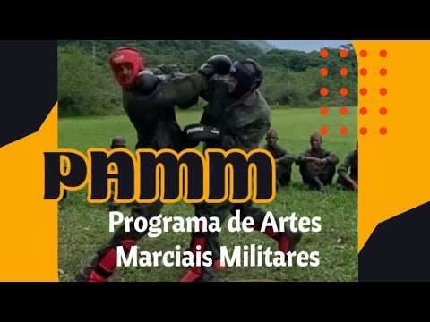 Inovação nas Forças Armadas Brasileiras - Programa de Artes Marciais Militares (PAMM)