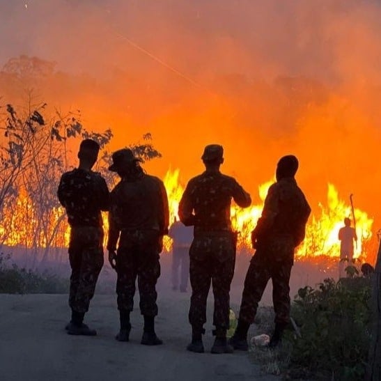 Militares e Indígenas Unidos: Combate a Incêndio no Pantanal Salva Terra Indígena Portal do Encantado