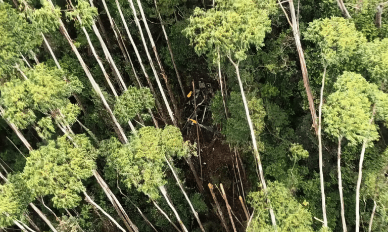 Esforços Conjuntos das Polícias de SP Para Abrir Caminho Até Destroços de Helicóptero