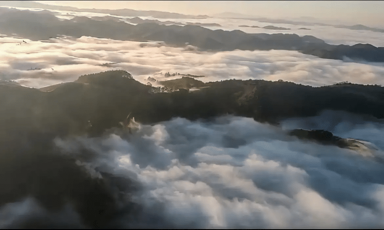Mistério no Céu de São Paulo: A Incansável Busca pelo Helicóptero Desaparecido Continua
