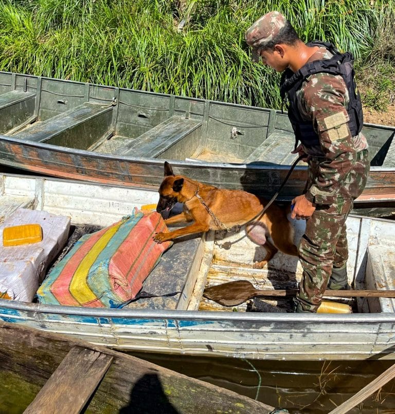 Impacto Estratégico na Amazônia: Operação Escudo e a Apreensão Histórica de Drogas pelo Pelotão Especial de Fronteira