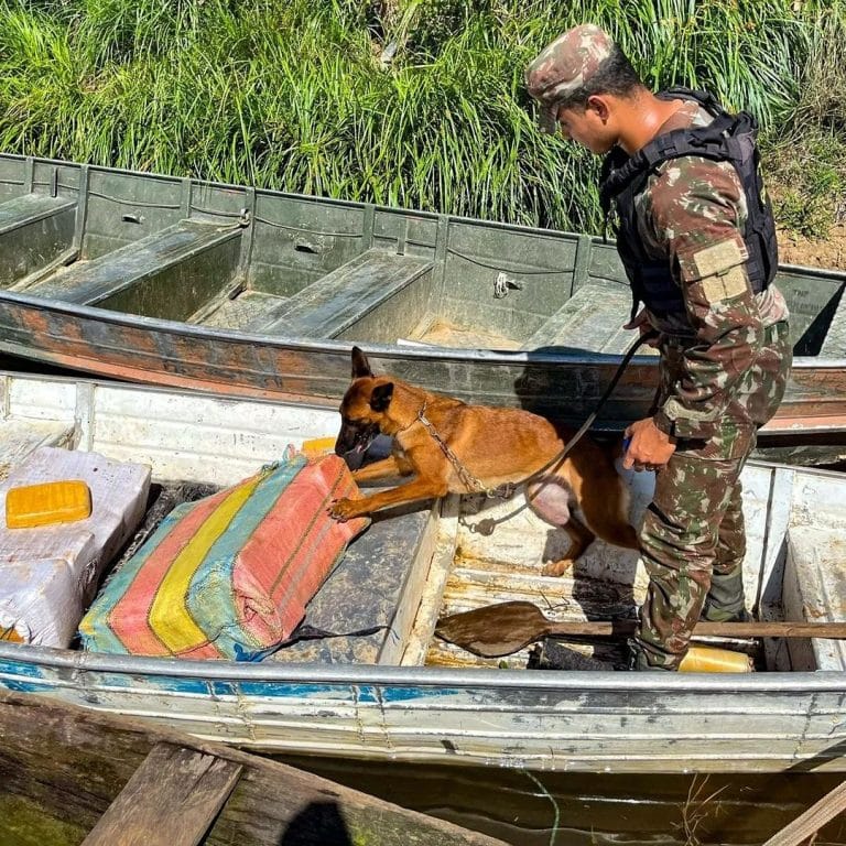 Força de Elite na Amazônia Garante Segurança Nacional e Impacta o Tráfico: Uma Vitória Estratégica no Coração Verde do Brasil