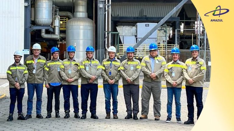 Descubra Como a Parceria Entre AMAZUL e Diamante Energia Revoluciona o Setor Energético com Alternativas Nucleares Sustentáveis