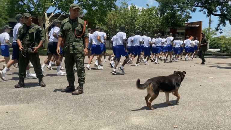 Juma, a Cadela Guardiã da 3ª Companhia: Uma História de Lealdade e Proteção que Transcende o Uniforme
