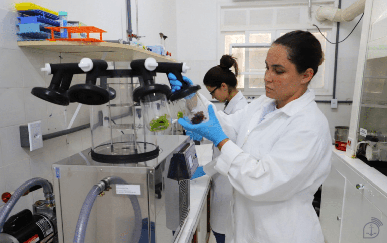Pioneirismo e Inovação: O Avanço das Mulheres nas Fronteiras Científicas e Tecnológicas da Marinha do Brasil