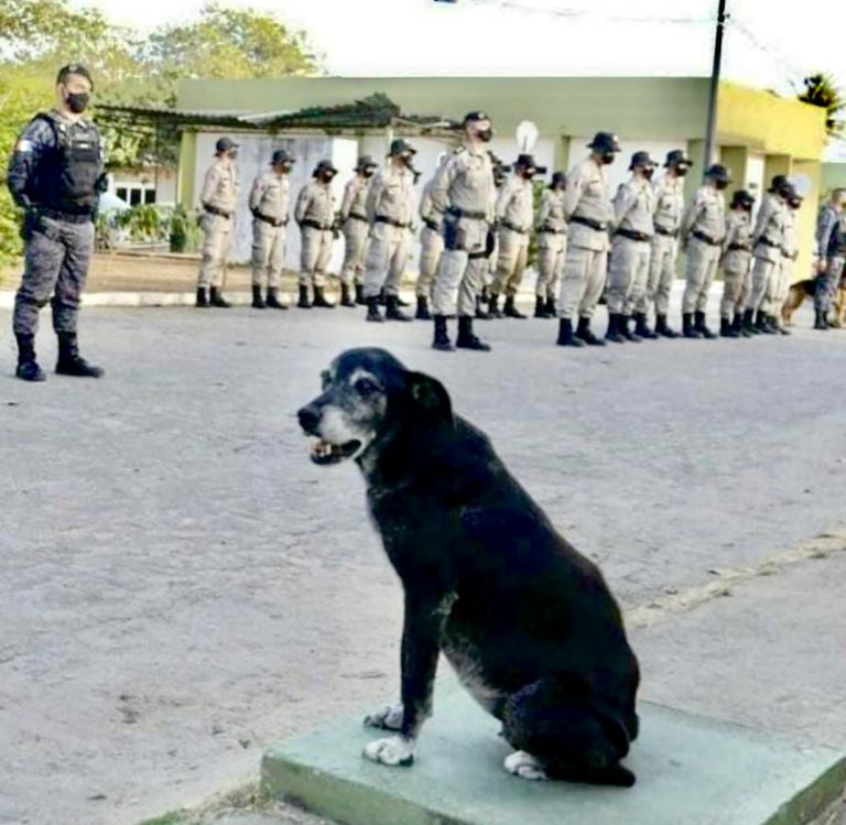HOMENAGEM A PRETINHA: A DESPEDIDA DE UMA MASCOTE E HERÓI DO BATALHÃO