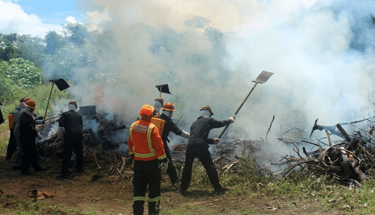ERMN Capacita Militares em Estágio de Combate a Incêndios Florestais