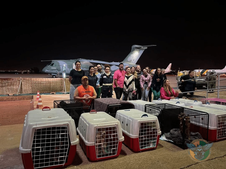 KC-390 Millennium do 1º GTT resgata animais de enchentes no RS