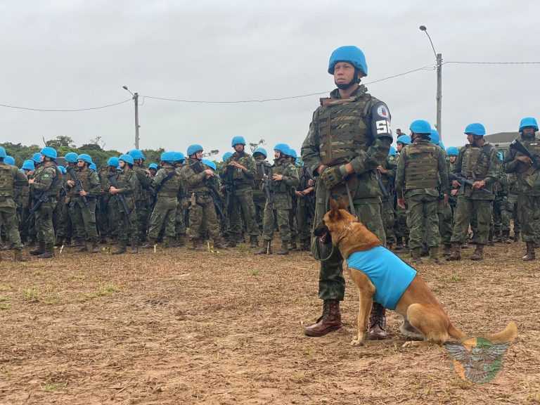 K9s da ONU: Protetores silenciosos que fazem a diferença
