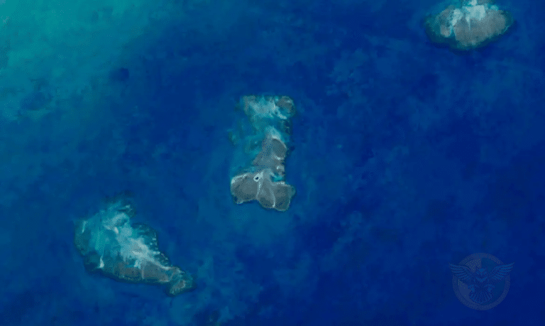 Mapeamento inédito revela 20,4 mil hectares de recifes de coral na costa brasileira