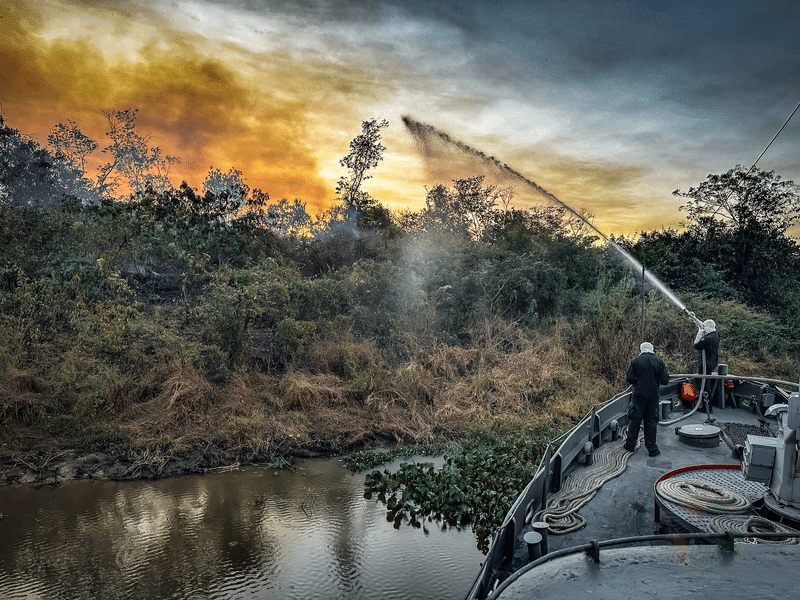 pantanal incendio