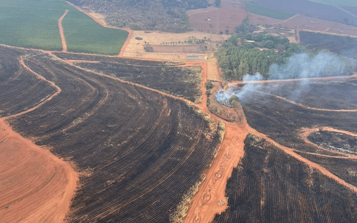 Operações Interagências e o Combate aos Incêndios no Pantanal e na Amazônia: Um exemplo de coordenação e superação