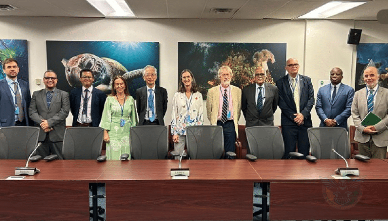 Margem Equatorial: Brasil e ONU avançam na análise da plataforma continental