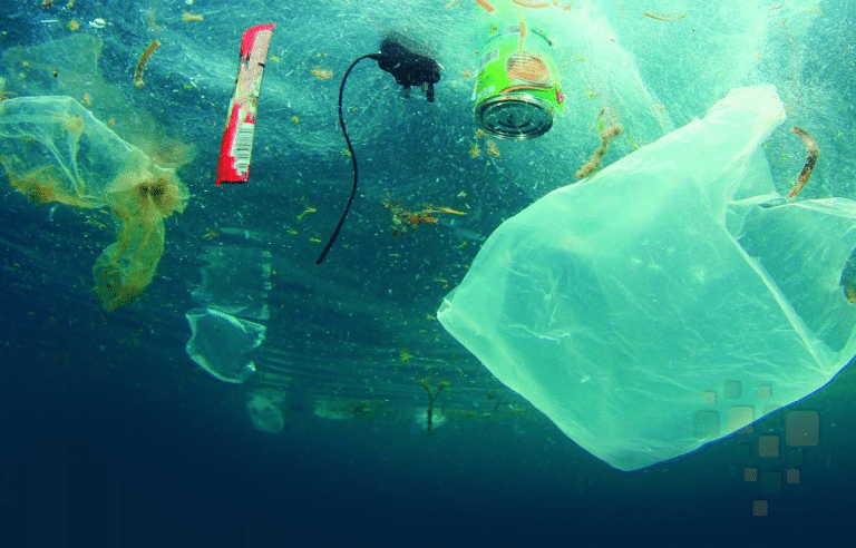 Década do Oceano: Soluções para enfrentar a poluição marinha