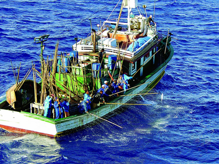 Amazônia Azul: a chave para o desenvolvimento sustentável do setor pesqueiro