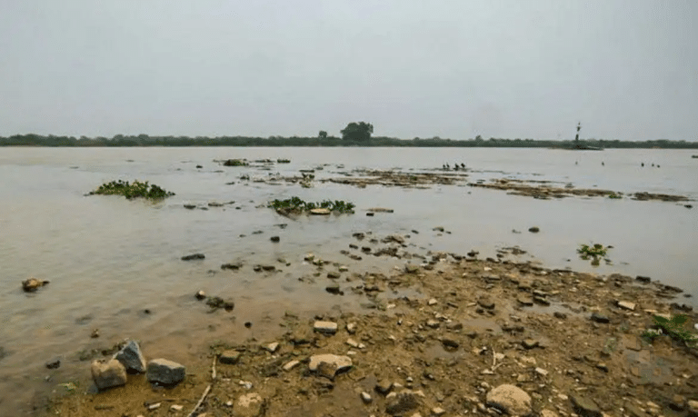 Baixa histórica no Rio Paraguai ameaça navegação e meio ambiente no Pantanal